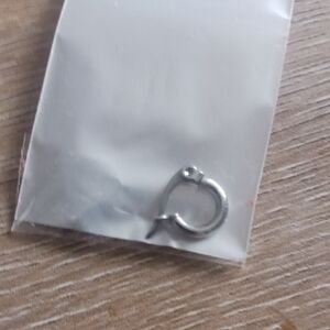 Silver Hoop Earring
